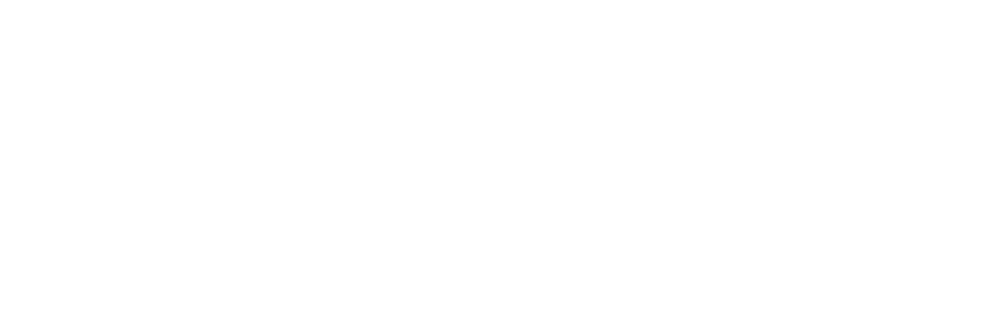 Visa logo | Bij De Loods